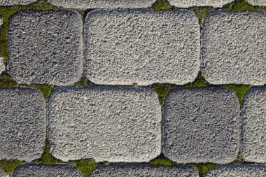 Endüstriyel çatlaklar yosun ile büyümüş kaldırım döşeme ile arka bina. Arka plan tekstüre