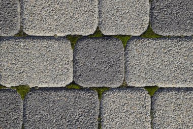 Endüstriyel çatlaklar yosun ile büyümüş kaldırım döşeme ile arka bina. Arka plan tekstüre