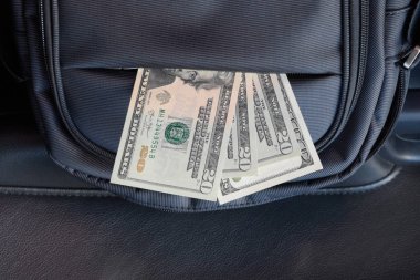 Dolar çantasının cebinde. Amerikan parası