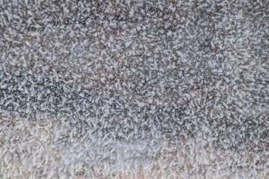 Hoarfrost ağaç gövde yüzeyi