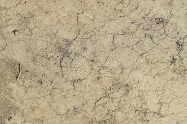 Toprak bir toprak yol üzerinde