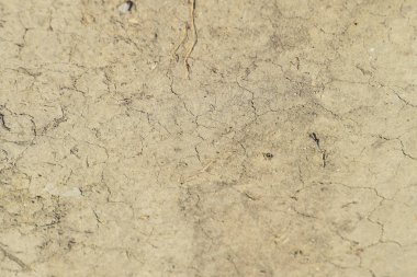 Toprak bir toprak yol üzerinde