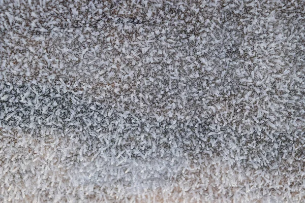 Hoarfrost ağaç gövde yüzeyi