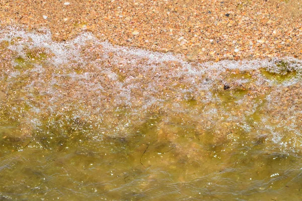 Kust zee golven. Zeewater met zeewier. Kust algen. Zee strand. — Stockfoto