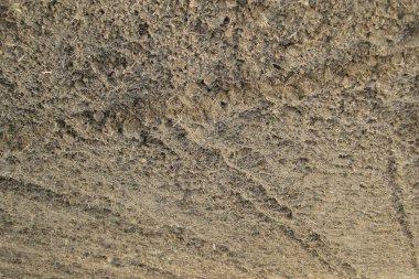 Disk harrow pulluk Bahçe