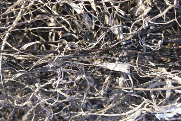 Hintergrund aus der Asche des verbrannten Grases — Stockfoto