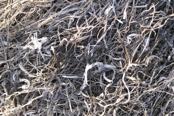 Tło z popiołów trawa spalony — Zdjęcie stockowe