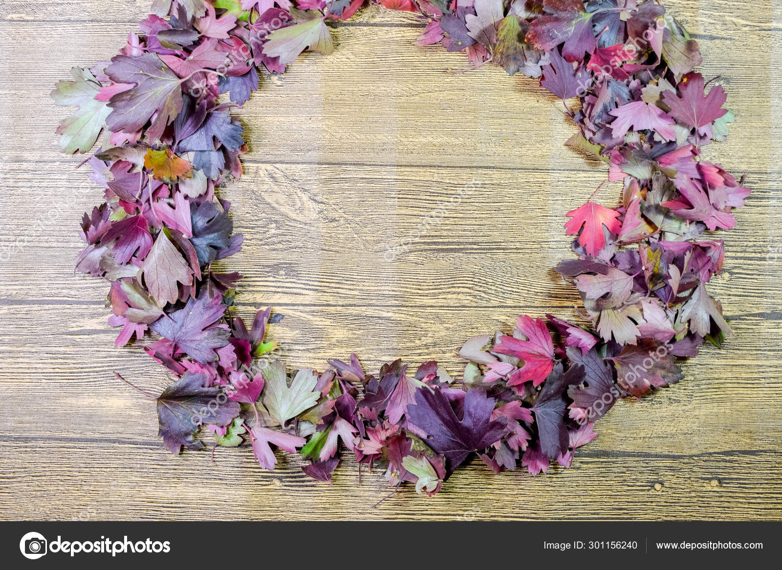Autumn Leaves Of Golden Currant On A Wooden Background Stock Photo C Leonid Eremeychuk 301156240