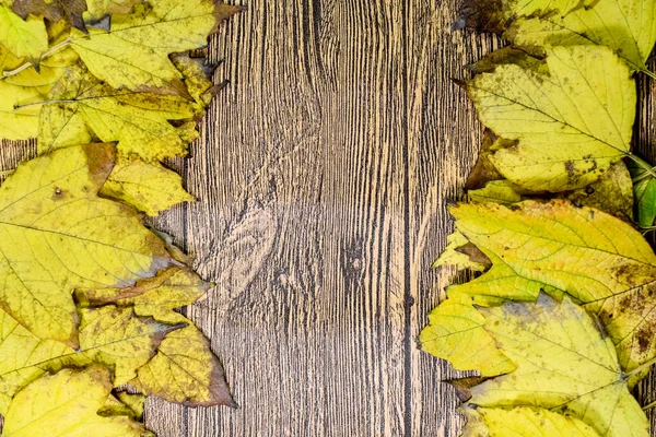 Herbstgelbe Ahornblätter auf einem hölzernen Hintergrund. — Stockfoto