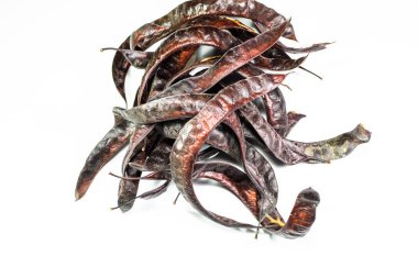 Gleditsia triacantnos, beyaz arka plan üzerine bakla