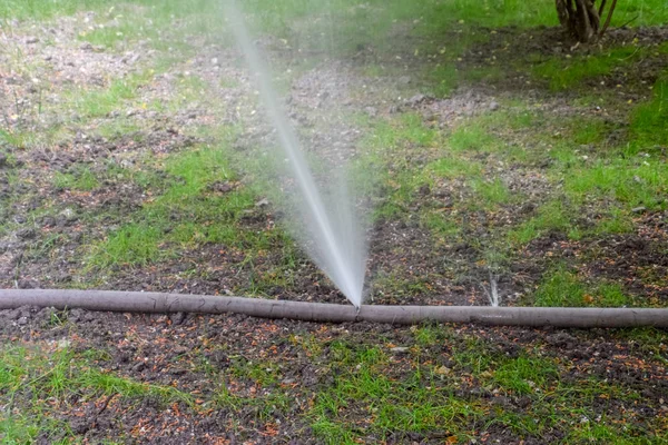 木の公園で引き裂かれた消防ホースに水をやる破れた消防ホース。ホースの穴から流れた水の流れ. — ストック写真