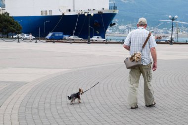 Yaşlı bir adam tasma üzerinde küçük bir köpek yol açar.