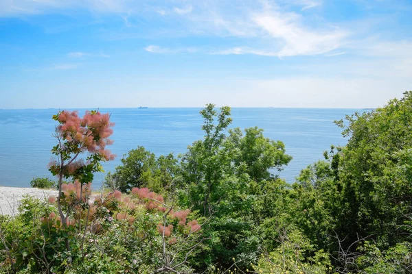 Mare, vista dalla riva, baia di Tsemes — Foto Stock