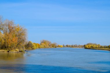 Sonbahar manzara. Nehir banka sonbahar ağaçları ile. B kavak