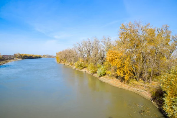 秋の風景です。川と橋を入力します。大声で叫ぶと木 — ストック写真