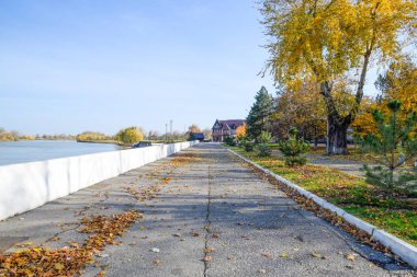 Sarı sonbahar ile mayınları yolu ağaçlarının yaprakları. Sonbahar sokak