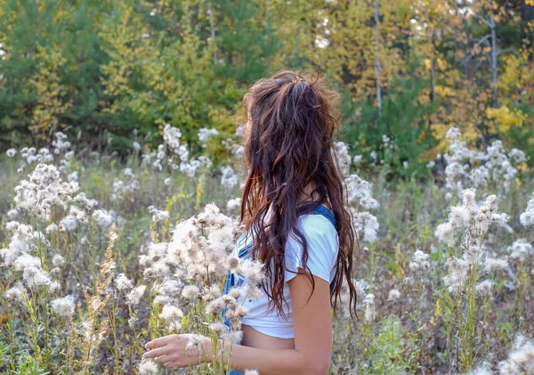 Girl with long wavy hair in a clearing with fluffy seeds of plants. Plants with fluffy seeds. — Stock Photo, Image