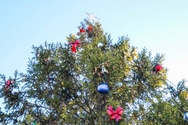 Süslemeleri yılbaşı ağacı. Tinsel ve oyuncaklar, topları ve diğer süslemeleri Noel Noel ayakta açık havada ağaç.