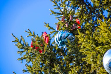 Süslemeleri yılbaşı ağacı. Tinsel ve oyuncaklar, topları ve diğer süslemeleri Noel Noel ayakta açık havada ağaç.