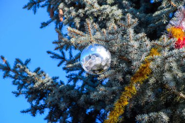 Süslemeleri yılbaşı ağacı. Tinsel ve oyuncaklar, topları ve diğer süslemeleri Noel Noel ayakta açık havada ağaç.