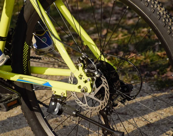 A roda traseira de uma bicicleta de montanha. passeio de bicicleta no parque . — Fotografia de Stock