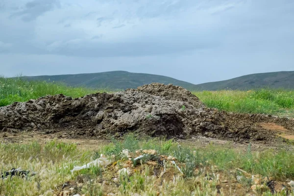 Tarlada gübre yığınları var. Topraklı inek ve at gübresi.