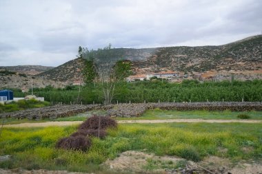 Doğranmış ve istiflenmiş kütükler ve yakacak odunlar..