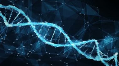 Hareketli arka plan dijital çokgen pleksus Dna molekülü rasgele digits döngü