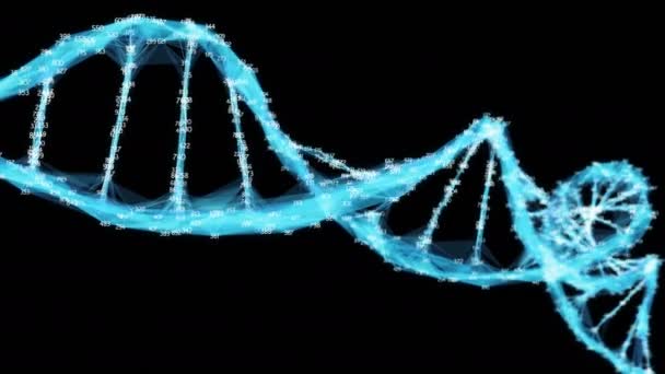 Цифровий багатокутник Plexus ДНК молекули випадкових цифр Loop Alpha Channel — стокове відео