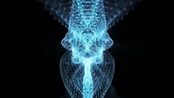 Vj ループ - デジタル バイナリ叢データ ネットワーク抽象化された運動の背景 — ストック動画