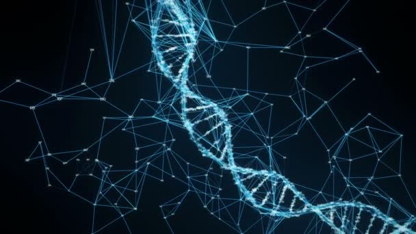 Motion bakgrund Digital Plexus Dna molekyl slumpmässiga siffror Loop — Stockvideo