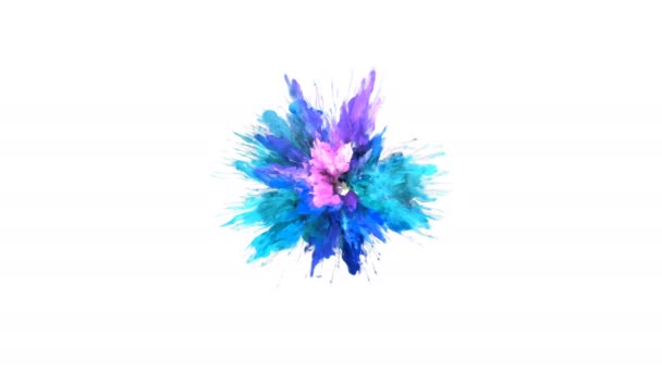 Color Burst - barevné modré růžového kouře exploze částice kapaliny Alfa podkladu — Stock video