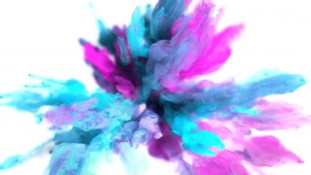 Farbe platzt - bunte magenta cyan Rauch Explosion Flüssigkeitspartikel alpha matt — Stockvideo