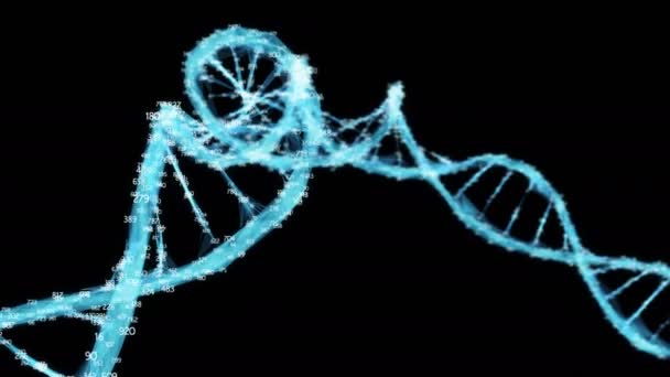 Polygone numérique Plexus molécule d'ADN chiffres aléatoires Boucle Alpha Channel — Video