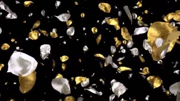 Romântico Voando Prata Dourada Metal Rosa Pétalas Transição Para Dia — Vídeo de Stock
