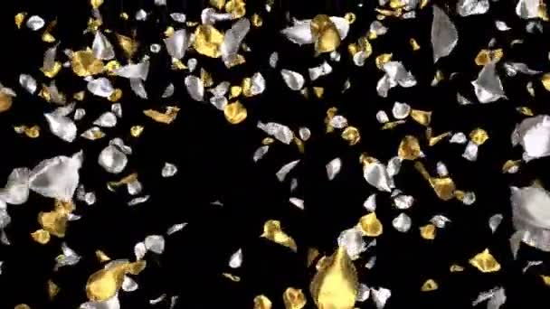 Romântico Voando Prata Dourada Metal Rosa Pétalas Flores Para Dia — Vídeo de Stock