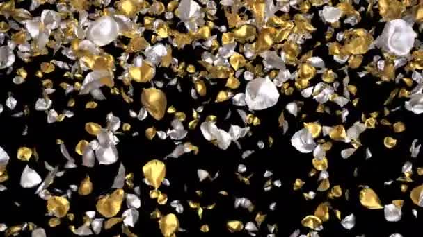 Romantic Flying Golden Silver Metal Rose Flower Petals Transition Valentine — Stock Video