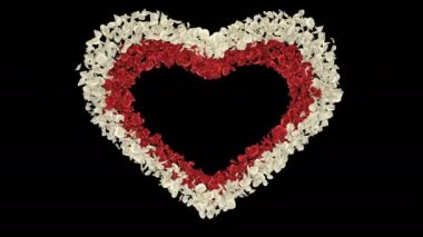 Romantik kırmızı beyaz gül çiçek yaprakları kalp şekli Sevgililer günü için anneler günü, uçan düğün yıldönümü tebrik kartları, düğün davet Doğum günü e-kart Alfa mat sorunsuz imkanı 4 k döngü