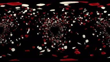 360 Vr romantik uçan kırmızı beyaz gül çiçek yaprakları Sevgililer günü, evlilik yıldönümü tebrik kartları, davet veya Doğum günü e-kart için. Sorunsuz döngü 4 k alfa kanalı izole