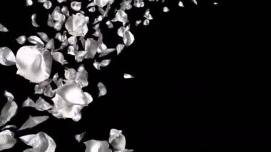 Gümüş metal uçan romantik Sevgililer günü, anneler günü, evlilik yıldönümü tebrik kartları, davet veya Doğum günü e-kart için çiçek yaprakları yükseldi. Sorunsuz döngü 4 k alfa kanalı izole