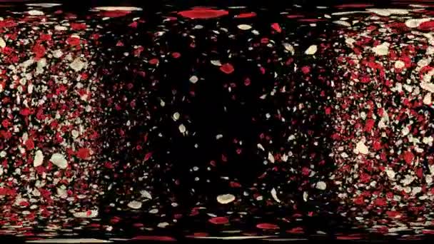 360 Romantic Flying Red White Rose Flower Petals Transition Valentine — стоковое видео