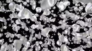 Uçan romantik gümüş metal gül çiçek yaprakları düşüyor alfa kanal geçiş