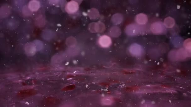 Winter Magenta Motion achtergrond verlichting sneeuw vallen op het ijs intreepupil bokeh lus — Stockvideo