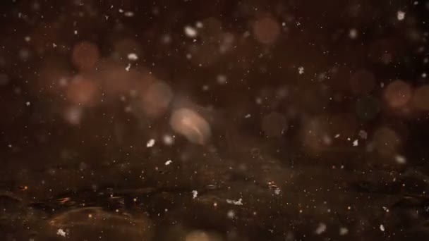 Vinter Golden Motion bakgrunden ljus, snö faller på isen oskarp bokeh loop — Stockvideo