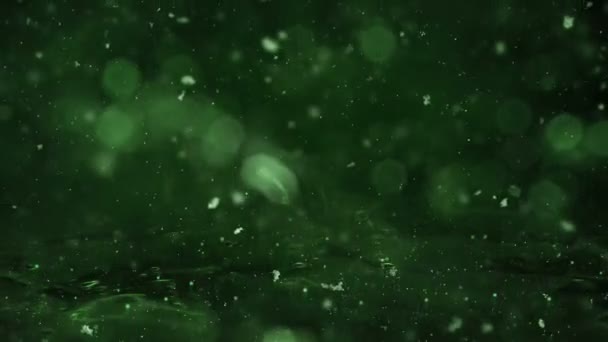 Winter grüne Bewegung Hintergrundbeleuchtung, Schnee fällt auf Eis defokussiert Bokeh-Schleife — Stockvideo