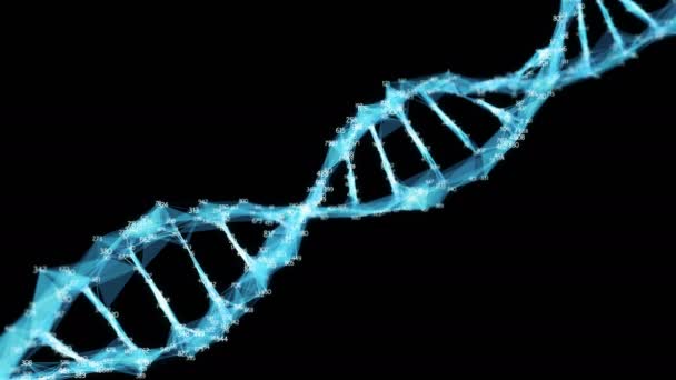 Resumo Plexo Dígitos Aleatórios Polígono Digital Molécula Dna Para Efeitos — Vídeo de Stock