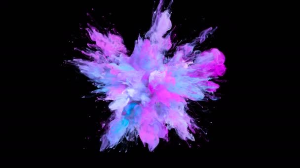 Violet Magenta Color Burst - particules fluides d'explosion de fumée colorées au ralenti alpha mat isolé sur blanc 