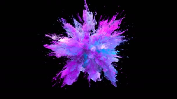 Magenta Purple Color Burst - particules fluides d'explosion de fumée colorées au ralenti alpha mat isolé sur blanc 