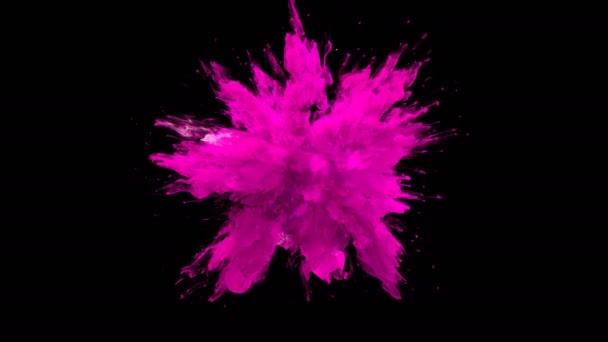 Magenta Kleur Burst Kleurrijke Rook Explosie Vloeistof Deeltjes Slowmotion Alpha — Stockvideo