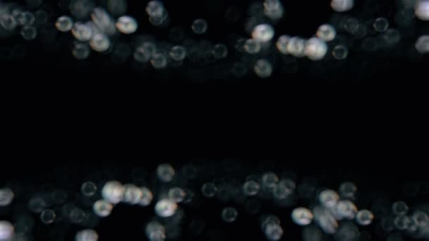 Hochwertige Animation von verschwommenem abstrakten Weihnachtshintergrund mit silbernen Bokeh-defokussierten Lichtern. nahtlose Schleife — Stockvideo